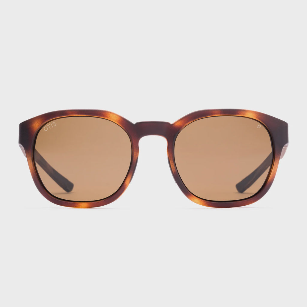 OFFSET SPORT : MATTE AMBERWOOD TORT/ BROWN POLAR
