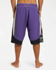 Mens Spec Systems Pro 23" Boardshorts - Purple
