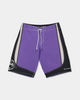 Mens Spec Systems Pro 23" Boardshorts - Purple